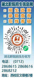 星空手机入口招生信息网